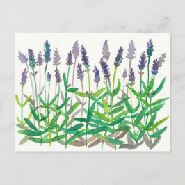 Lavendel Blume Wasserfarben Malerei Kunst Postkarte