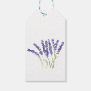 Lavendel-Blume Wasserfarbene, rustikale Kräuter Geschenkanhänger