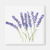 Lavendel-Blume Wasserfarbene, rustikale Kräuter Magnet (Vorne)