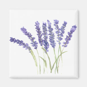 Lavendel-Blume Wasserfarbene, rustikale Kräuter Magnet