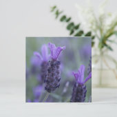 Lavendel-Blumen-Foto-Einladungen Einladung (Stehend Vorderseite)