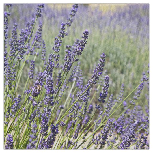 Lavendel-Blumen Stoff (Muster)