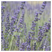 Lavendel-Blumen Stoff (Nahaufnahme)