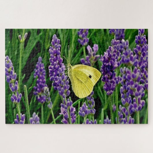 Lavendel-Blumengarten mit Schmetterling 1014 pc Pu Puzzle (Horizontal)