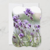 Lavendel Bohemisches Brautparty lädt Bracket ein Einladung (Rückseite)