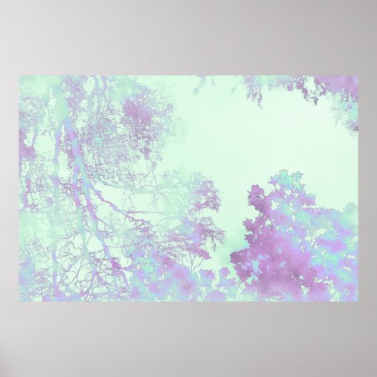 Lavendel-Breitblatt-Nebel Poster (Vorne)
