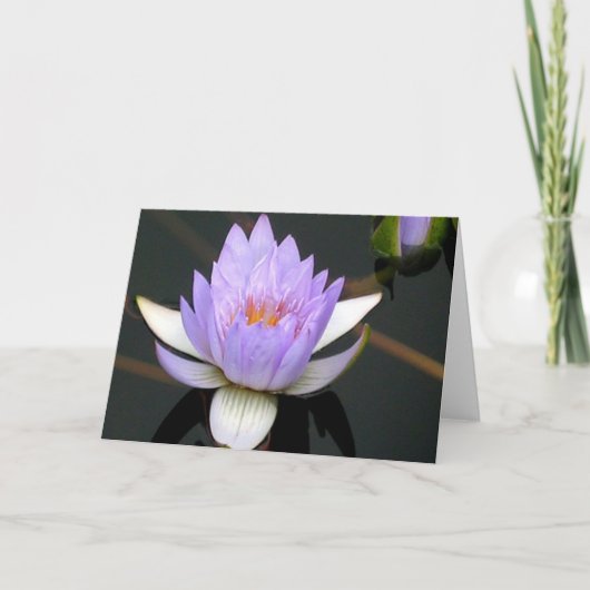 Lavendel Dankeskarte (Vorderseite)