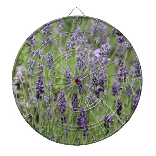 Lavendel Dartscheibe (vorne)