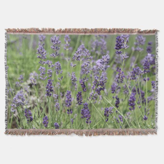 Lavendel Decke (Vorderseite)