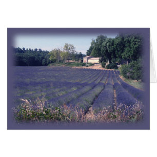 Lavendel-Dunst-Raum-Kunst-Karte