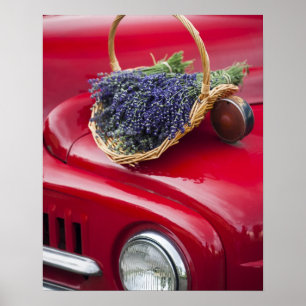 Lavendel Erholung auf alten Lieferwagen-LKW Poster