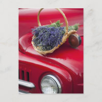 Lavendel Erholung auf alten Lieferwagen LKW