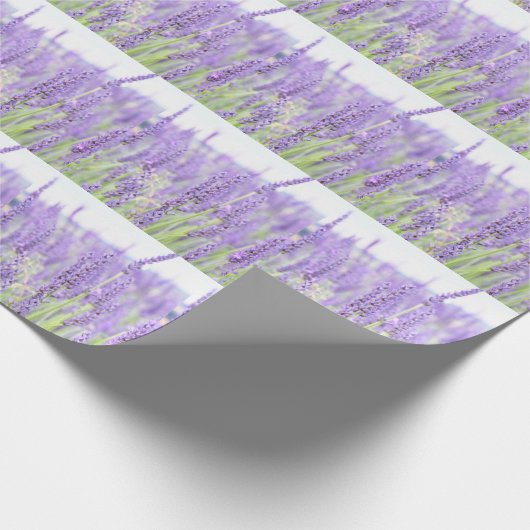 Lavendel fängt Fotografie, verschiedene Geschenke Geschenkpapier (Ecke)