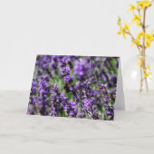 Lavendel fängt Gruß-Karte auf Karte (Gelbe Blume)