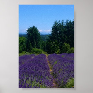 Lavendel Farm Poster
