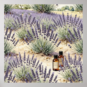 Lavendel-Feld Ätherisches Öl-Wasserfarbenmuster Poster