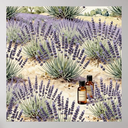 Lavendel-Feld Ätherisches Öl-Wasserfarbenmuster Poster (Vorne)