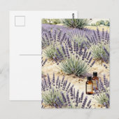 Lavendel-Feld-Ätheröl-Wasserfarben-Muster Postkarte (Vorne/Hinten)