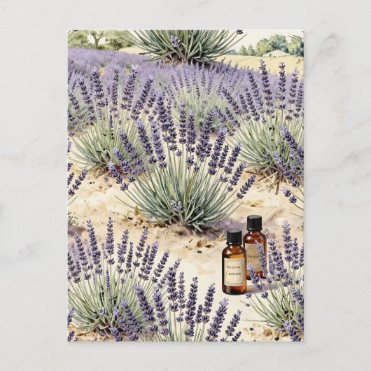 Lavendel-Feld-Ätheröl-Wasserfarben-Muster Postkarte (Vorderseite)