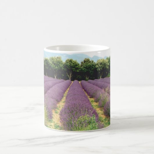 Lavendel-Feld - Drome Provencal, Frankreich Kaffeetasse (Mittel)
