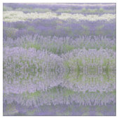 Lavendel-Feld-Gewebe Stoff (Nahaufnahme)