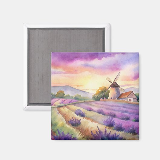 Lavendel Feld in der Provence. Magnet (Vorderseite/Rückseite)