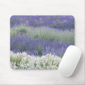 Lavendel-Feld Mousepad (Mit Mouse)
