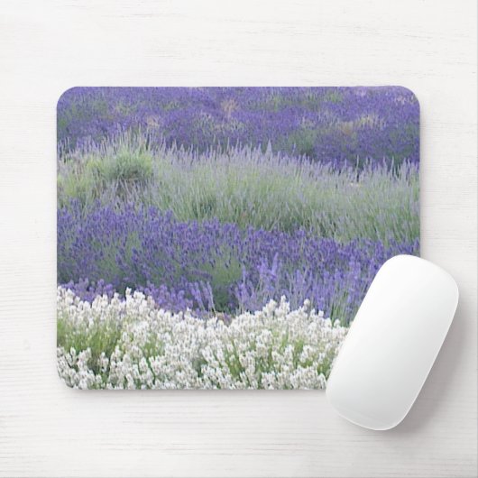 Lavendel-Feld Mousepad (Mit Mouse)