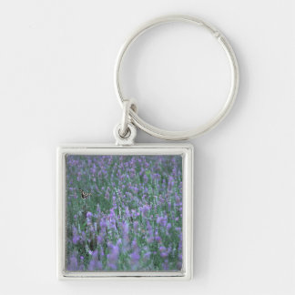 Lavendel-Feld Schlüsselanhänger