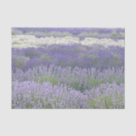 Lavendel-Feld-Seidenpapier Seidenpapier