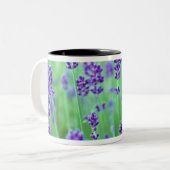 Lavendel-Feld Zweifarbige Tasse (Vorderseite Links)