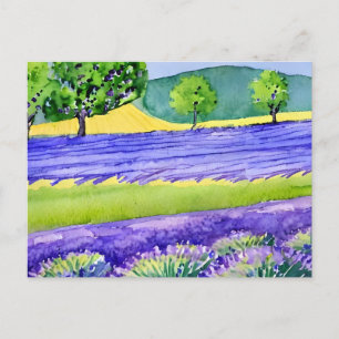 Lavendel-Felder Frankreich Postkarte