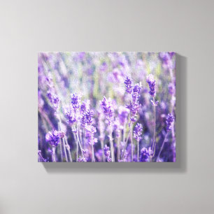 Lavendel Field Floral Leinwanddruck