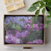 Lavendel-Fliedern Seidenpapier (Geschenk)