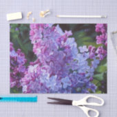 Lavendel-Fliedern Seidenpapier (Handwerk)