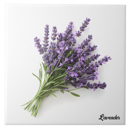 Lavendel Fliese (Vorderseite)