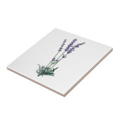 Lavendel Fliese (Seite)