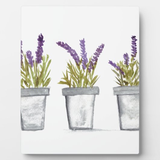 Lavendel Fotoplatte (Vorderseite)