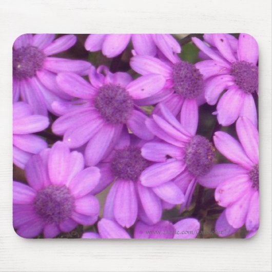 Lavendel-Gänseblümchen Mousepad (Vorne)