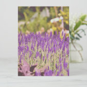Lavendel Garden Fotografie (Stehend Vorderseite)
