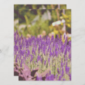 Lavendel Garden Fotografie (Vorne/Hinten)