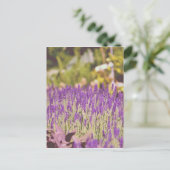 Lavendel Garden Fotografie Postkarte (Stehend Vorderseite)