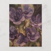 Lavendel Garden Postkarten (Vorderseite)