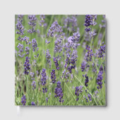 Lavendel Gästebuch (Vorderseite)