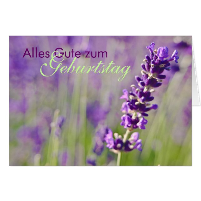 Lavendel • Geburtstagskarte (Vorderseite (Horizontal))