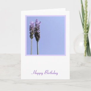 Lavendel-geklappte Grußkarte Karte