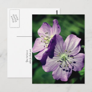 Lavendel Geranium Blüten Personalisiert Postkarte