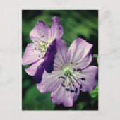 Lavendel Geranium Blüten Personalisiert Postkarte (Vorderseite)