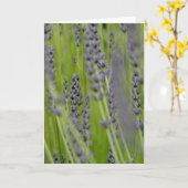 Lavendel-Gruß-Karte Karte (Gelbe Blume)
