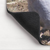 Lavendel-Guinea-Geflügel Mousepad (Ecke)